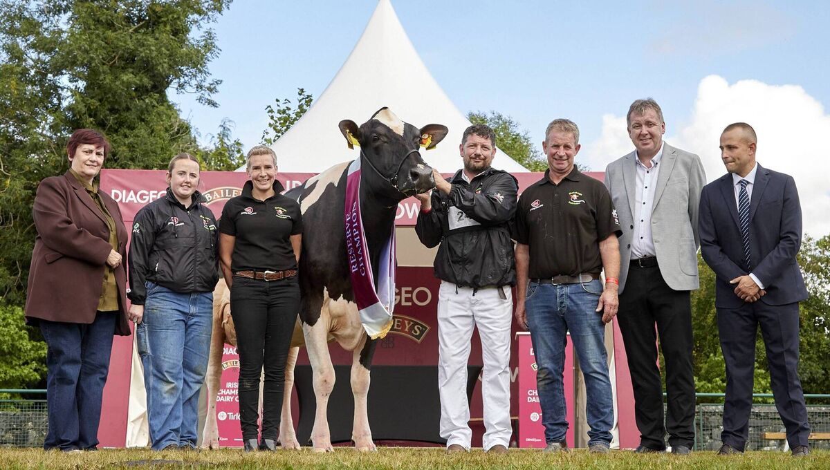 The Diageo Baileys Champion Cow Competition Reserve Champion Aliann Pepper Lila Z exhibited by Slatabogie Holsteins with (left to right) Mary Gaynor, show president; Rachel Corley; Leanne and Alan Paul, owners; Stephen McLoughlin, handler; Anthony Farrelly, Tirlan and judge Marcel Egli. Picture: Maria Kelly