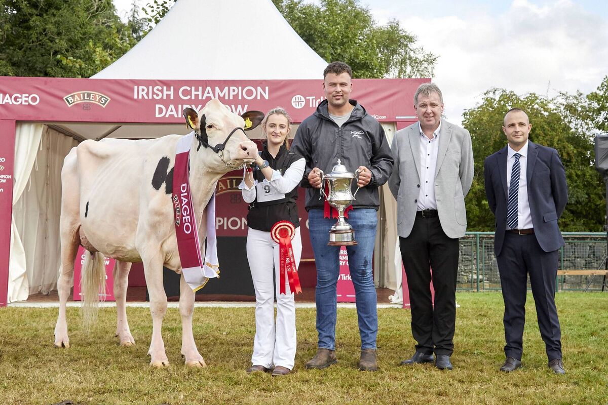 The Diageo Baileys Champion Cow Competition Best Heifer in Milk – Annaghmore Rager KD Jackie exhibited by Clive and Joel Richardson with (left to right) Andrea Rafferty, Josh Ebron, Anthony Farrelly of Tirlan, and Judge Marcel Egli. Picture: Maria Kelly
