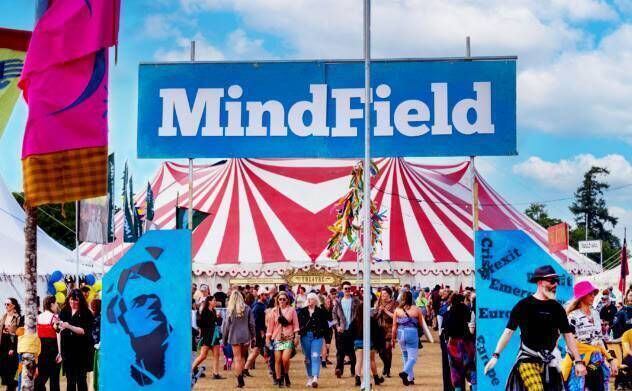 Mindfield at Electric Picnic