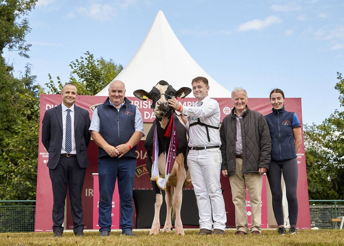 2026 Diageo Baileys Championship Junior Cow winner - Willsbro Lamda Galys Vray 46 exhibited by John and Bryan O'Connor from Co Cork, with (left to right) judge Marcel Egli, handler Tom Feeney, John, Bryan and Clody O'Connor. Picture: Maria Kelly