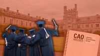 CAO offers: Did the points for your course go up? See all the first-round cut-offs