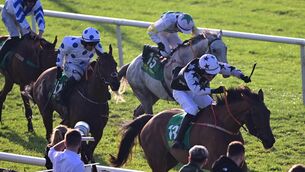 <p> Bellewstown 26-8-26 </p> <p> Bellewstown 26-8-26 </p>