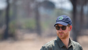 <p>Prince Harry’s spokesperson confirmed he was no longer a trustee of African Parks, which admitted last year that human rights abuses were committed by its rangers in the Republic of the Congo. Picture: Dominic Lipinski/PA Wire</p> <p>Prince Harry’s spokesperson confirmed he was no longer a trustee of African Parks, which admitted last year that human rights abuses were committed by its rangers in the Republic of the Congo. Picture: Dominic Lipinski/PA Wire</p>