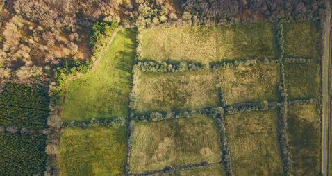 Beautiful patchwork fields and bogland in Roscommon, Ireland.