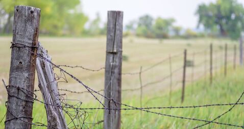View down a country barbed wire fence