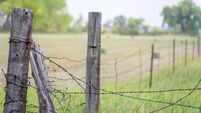 View down a country barbed wire fence