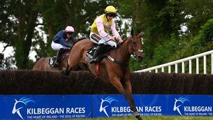 <p>Le Coq Hardi and Mike O'Connor won for trainer Henry de Bromhead at Kilbeggan. Pic: Healy Racing</p> <p>Le Coq Hardi and Mike O'Connor won for trainer Henry de Bromhead at Kilbeggan. Pic: Healy Racing</p>