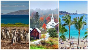 <p>Explore some of this week's best getaway opportunities</p>