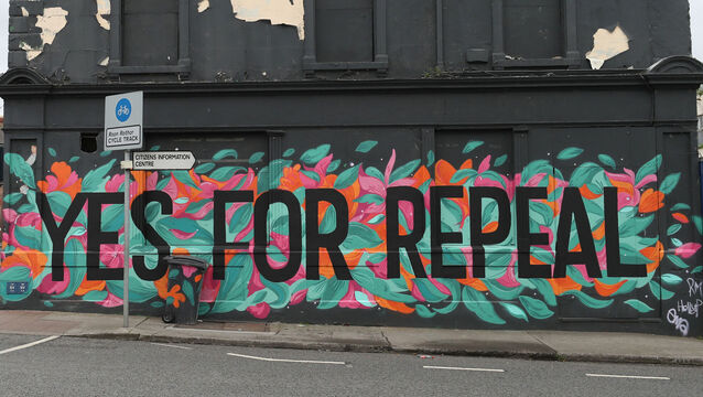 <p>When the Irish people voted to repeal the eighth amendment, they also voted for a commitment that the associated legislation would be independently reviewed after three years to ensure it worked as intended. Picture: Niall Carson/PA</p>