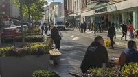 Cork suburb residents threaten to chain themselves to trees earmarked for removal Cork suburb residents threaten to chain themselves to trees earmarked for removal