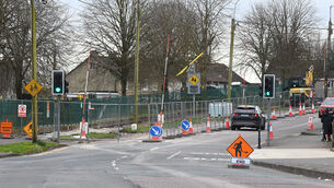 <p> Construction fencing around works on Knockpogue Avenue where the council plans to cut down 22 mature trees and reduce parking. Picture: Larry Cummins</p> <p> Construction fencing around works on Knockpogue Avenue where the council plans to cut down 22 mature trees and reduce parking. Picture: Larry Cummins</p>