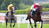 Dublin horse show set to kick off