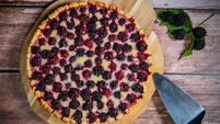 Homemade pie closeup on blackberries.