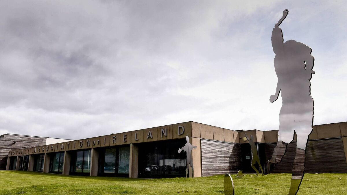 FAI condemns 'intimidation and harrassment' after Israel vote