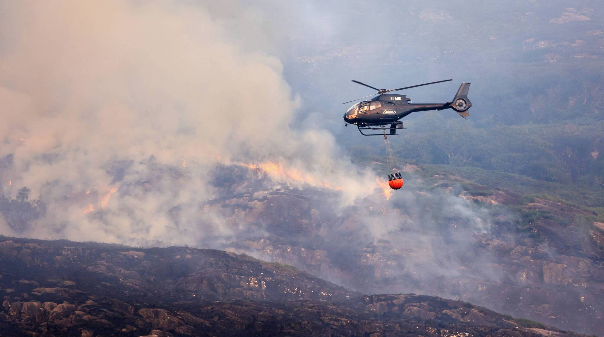 Multiple wildfires have occurred over the summer months amid the long dry spell, including in Slievenamon, Co Tipperary, Comeragh Mountains in Waterford, and Killarney National Park in Kerry. Photo: Valerie O'Sullivan/NPWS