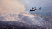 Tánaiste urged to fund permanent ranger unit to fight wildfires in country's national parks