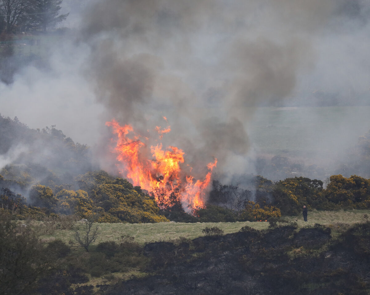 Junior minister for nature and biodiversity, Christopher O’Sullivan, cited the wildfire in the Featherbeds area of the Wicklow Mountains National Park which had become the 'longest running fire incident' in the NPWS’s history. File photo: Eamonn Farrell/RollingNews.ie Junior minister for nature and biodiversity, Christopher O’Sullivan, cited the wildfire in the Featherbeds area of the Wicklow Mountains National Park which had become the 'longest running fire incident' in the NPWS’s history. File photo: Eamonn Farrell/RollingNews.ie