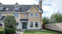 The year when billionaires met millionaires in Munster's property market 