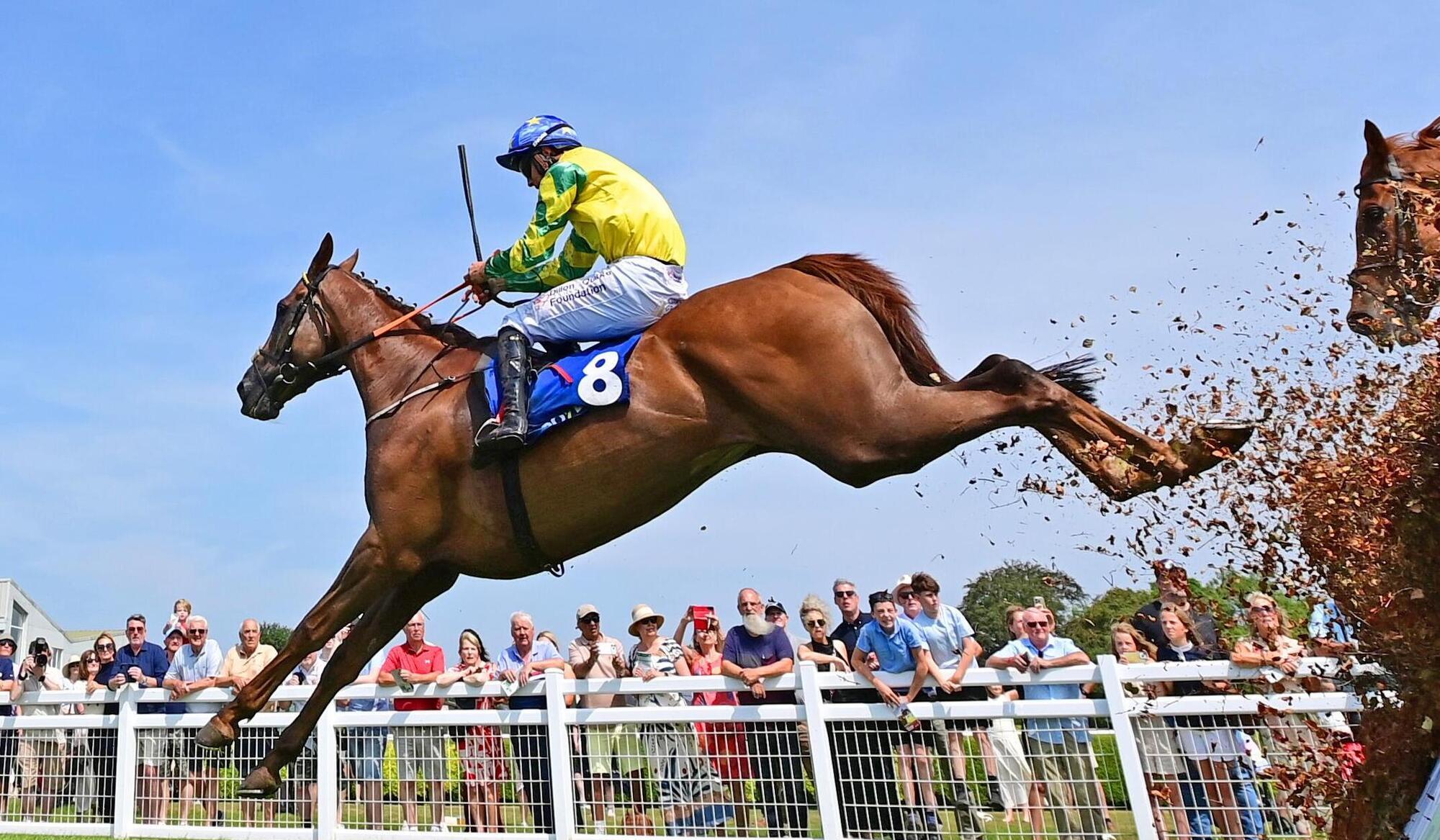 In-form Femme Magnifique garners Wexford success