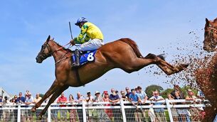 <p>Femme Magnifique. Pic: Healy Racing</p>