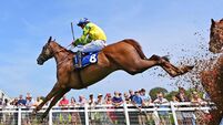 Great Barrier Reef can maintain perfect record at the Curragh Great Barrier Reef can maintain perfect record at the Curragh