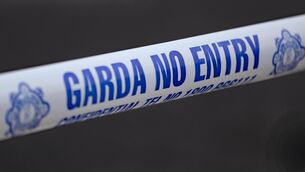 <p>The woman was found dead in the South Dublin park on Tuesday. Stock picture: PA</p> <p>The woman was found dead in the South Dublin park on Tuesday. Stock picture: PA</p>