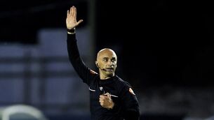 <p>Referee Neil Doyle. Pic: Laszlo Geczo/Inpho</p>