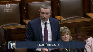 <p>Junior minister Niall Collins giving a Dáil statement in 2023 about the controversy first reported on 'The Ditch' website. File picture: Oireachtas TV/PA</p>