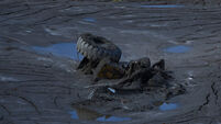 Nepal Flash Flood
