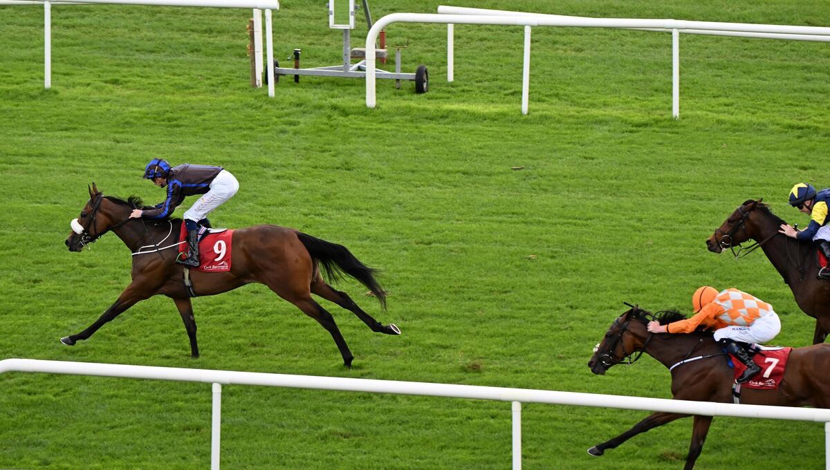Magny Cours and Ben Coen win for owners Ecurie Ama Zing Team and trainer Danny McLoughlin from Dancing Saxon. Pic: Healy Racing Magny Cours and Ben Coen win for owners Ecurie Ama Zing Team and trainer Danny McLoughlin from Dancing Saxon. Pic: Healy Racing