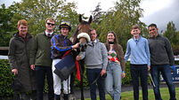 Different set of challenges at the ‘Hollywood of horses’ Different set of challenges at the ‘Hollywood of horses’