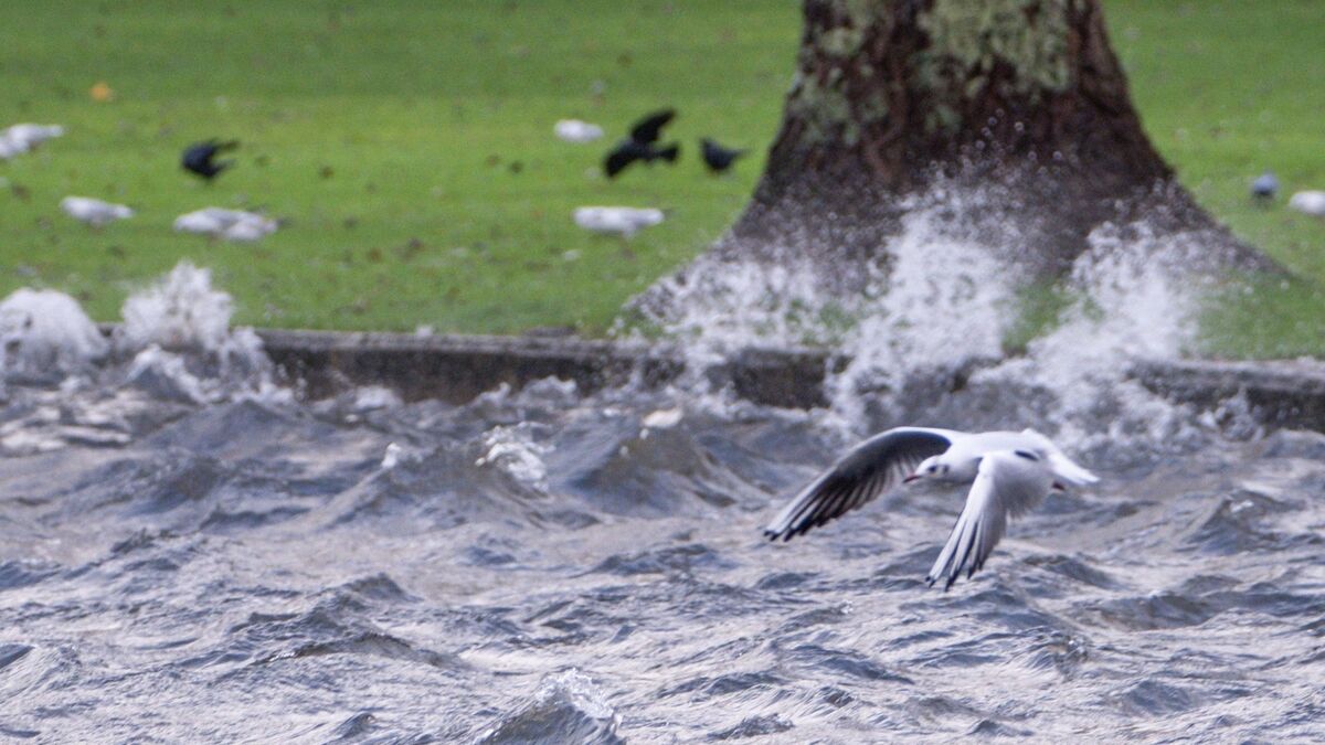 Revealed: Met Éireann announces new list of storm names for winter