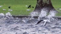 Storm Goretti: Snow and rain warning kicks in for Cork and three other counties