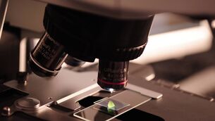 <p>TB screening is underway at Coláiste Éamann Rís, Deerpark in Cork after a pupil was diagnosed with the highly infectious condition.</p> <p>TB screening is underway at Coláiste Éamann Rís, Deerpark in Cork after a pupil was diagnosed with the highly infectious condition.</p>