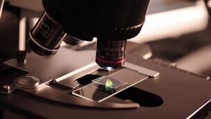 <p>TB screening is underway at Coláiste Éamann Rís, Deerpark in Cork after a pupil was diagnosed with the highly infectious condition.</p> <p>TB screening is underway at Coláiste Éamann Rís, Deerpark in Cork after a pupil was diagnosed with the highly infectious condition.</p>