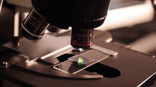 <p>TB screening is underway at Coláiste Éamann Rís, Deerpark in Cork after a pupil was diagnosed with the highly infectious condition.</p> <p>TB screening is underway at Coláiste Éamann Rís, Deerpark in Cork after a pupil was diagnosed with the highly infectious condition.</p>