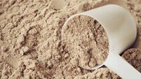 Chocolate Protein Powder