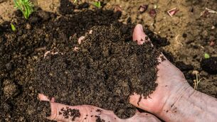 <p>The study of results from 331,600 hectares in France included yields of the worst-affected crops falling by 22% on the least regenerative farms in the droughts of 2023, compared with only an 8% decline on the highly regenerative farms.</p> <p>The study of results from 331,600 hectares in France included yields of the worst-affected crops falling by 22% on the least regenerative farms in the droughts of 2023, compared with only an 8% decline on the highly regenerative farms.</p>