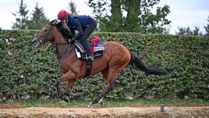 <p>Constitution River and Rachel Richardson pictured for Irish Champions Weekend Media Morning with trainer Aidan O'Brien. Pic: Healy Racing.</p> <p>Constitution River and Rachel Richardson pictured for Irish Champions Weekend Media Morning with trainer Aidan O'Brien. Pic: Healy Racing.</p>