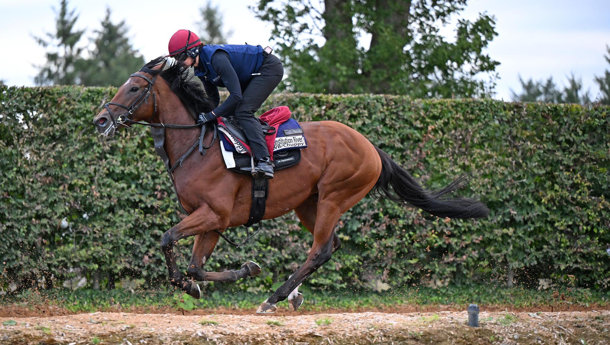 Constitution River and Rachel Richardson pictured for Irish Champions Weekend Media Morning with trainer Aidan O'Brien. Pic: Healy Racing.