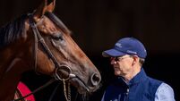 Aidan O’Brien with Constitution River 31/8/2026