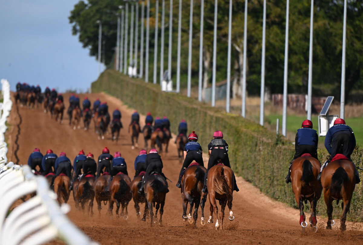 “Everything leads to this": The Irish Champions Festival is an important weekend for Aidan O'Brien and Ballydoyle. Pic: Healy Racing “Everything leads to this": The Irish Champions Festival is an important weekend for Aidan O'Brien and Ballydoyle. Pic: Healy Racing