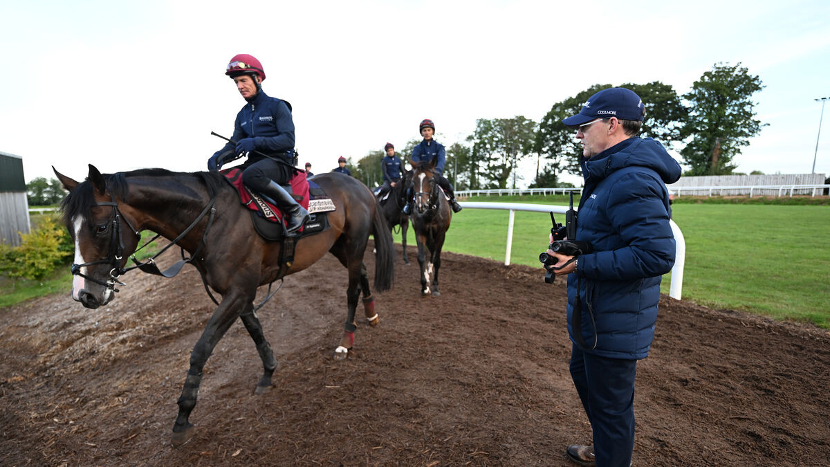 'They’re a lot further along than we were at their age' - sons' success keeps O'Brien Sr motivated