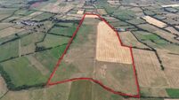 220ac Limerick farm expected to fetch about €3.5m at auction