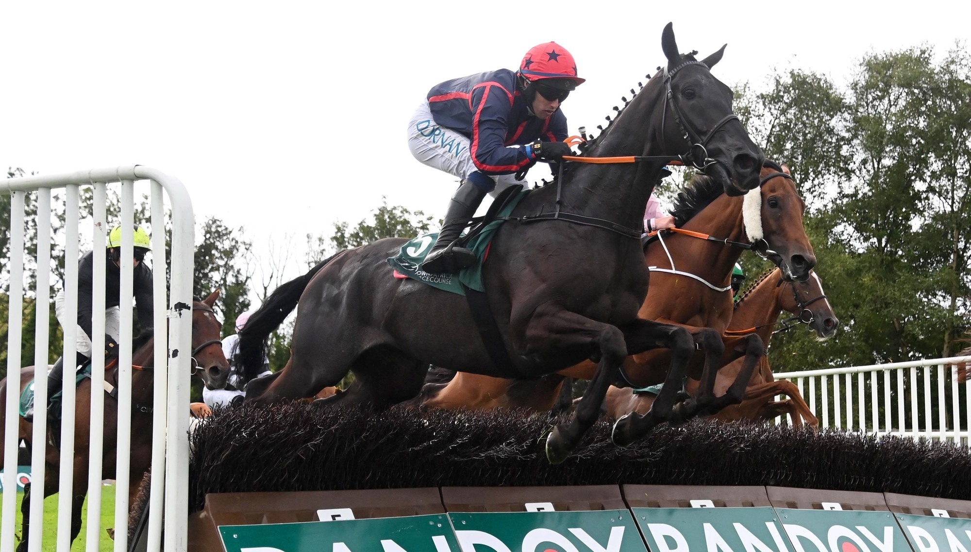 O'Keeffe maintains jumps lead as Lee returns to top of Flat standings