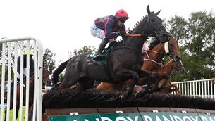 <p>Majestic Horizon and Darragh O'Keeffe won the North Down Marquees Maiden Hurdle at Downpatrick. Pic: Healy Racing</p> <p>Majestic Horizon and Darragh O'Keeffe won the North Down Marquees Maiden Hurdle at Downpatrick. Pic: Healy Racing</p>