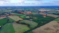 Teagasc invites drought-hit farmers to fodder clinics
