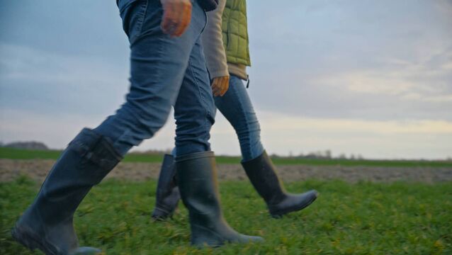 <p>Grass is low in dry matter as it recovers and grows rapidly, so monitor intakes and continue to supplement where necessary while building covers.</p>