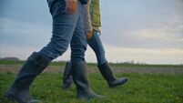 Low Section of Agronomists in Rubber Boots Walking on Organic Farm