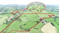 Teagasc invites drought-hit farmers to fodder clinics